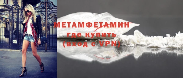 индика Белокуриха