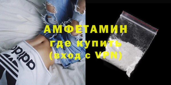 индика Белокуриха