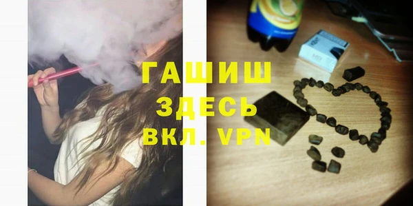 индика Белокуриха