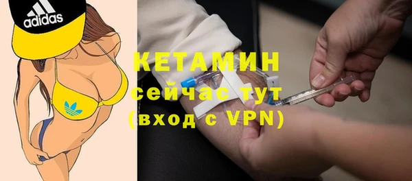 индика Белокуриха