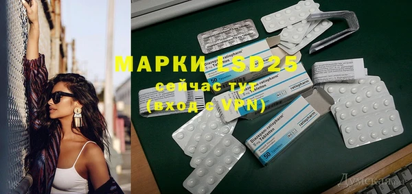 индика Белокуриха