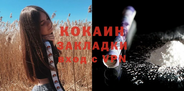 индика Белокуриха