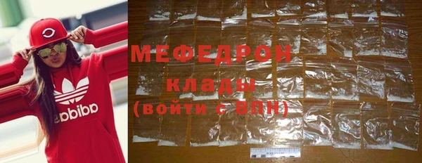 индика Белокуриха