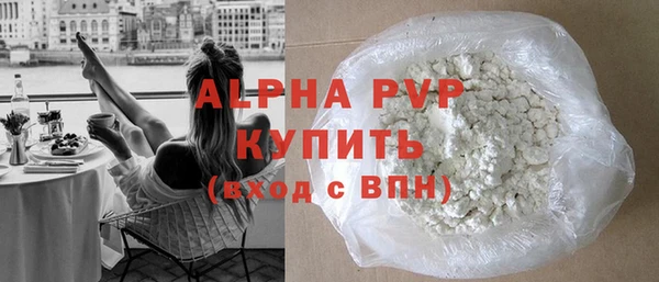 индика Белокуриха