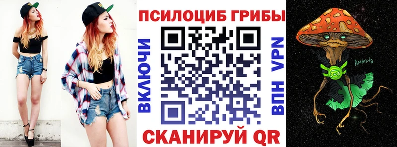 магазин  наркотиков  Сычёвка  Галлюциногенные грибы Cubensis 